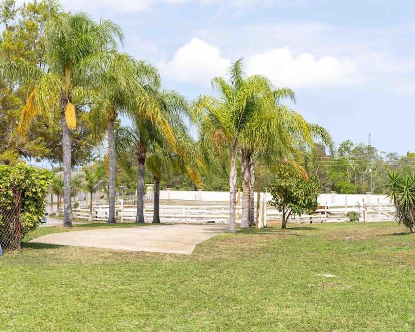 Tampa Bay Oasis Apartment Tarpon Springs Exterior photo