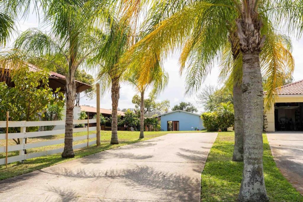 Tampa Bay Oasis Apartment Tarpon Springs Exterior photo